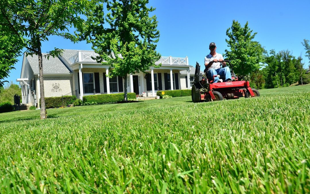 How Lawn Care Management Software Can Grow Your Business Through Automation