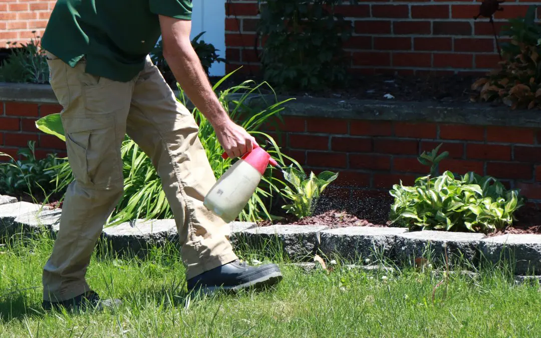 How My Fertilizing Company Uses RealGreen Software to Work Smarter