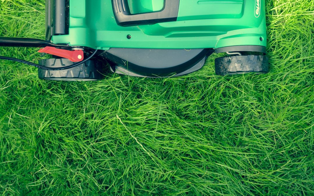 How to Charge for Lawn Care Services in 2024
