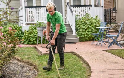 How to Get 100 Lawn Care Customers