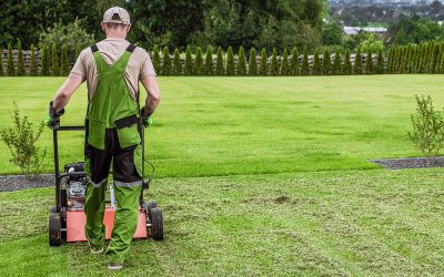 How Can You Use Technology to Grow a Lawn Care Business?