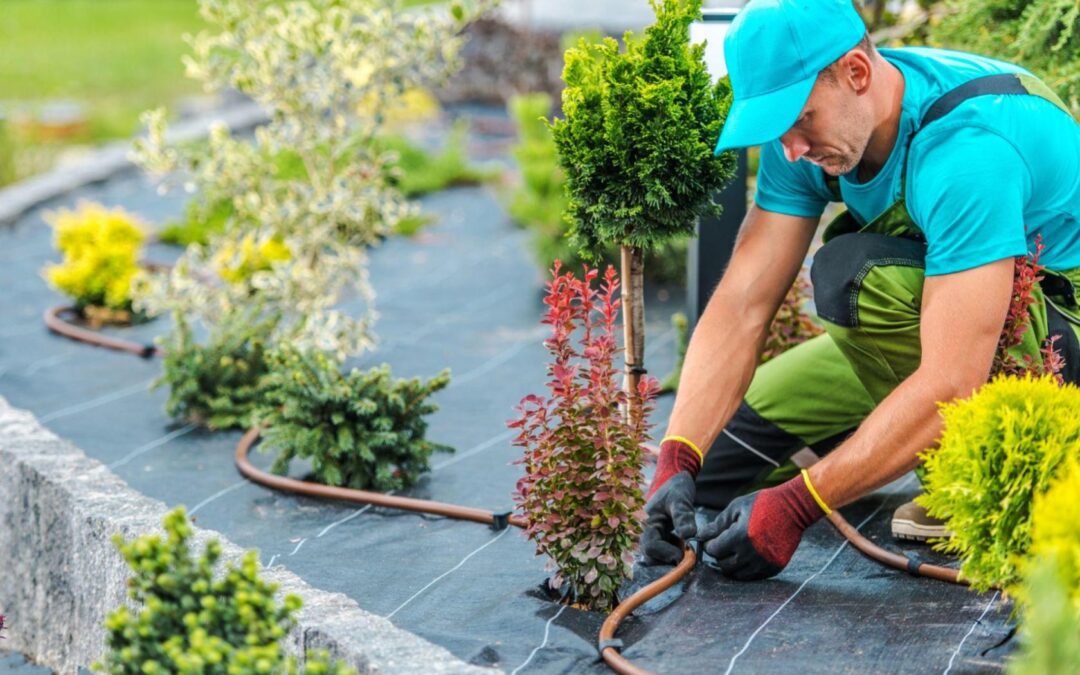 How Much Do Landscapers Make?