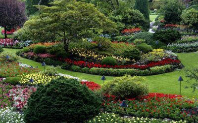 Essential Landscaping Industry Statistics for Business Growth in 2025