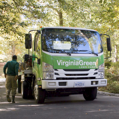 How Virginia Green uses RealGreen and Waypoint Analytical to Boost Revenue and Customer Value