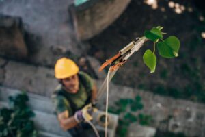 How to start a tree service business