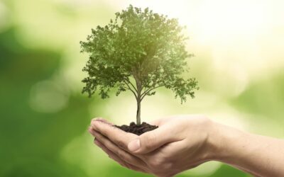 9 Tree Service Marketing Ideas to Grow Your Business