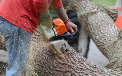 Tree Service Invoice: Your Complete Guide