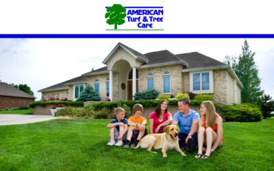 American Turf & Tree Care Case Study