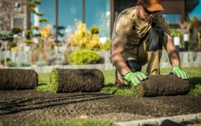 How to Estimate Landscaping Jobs for Profitability