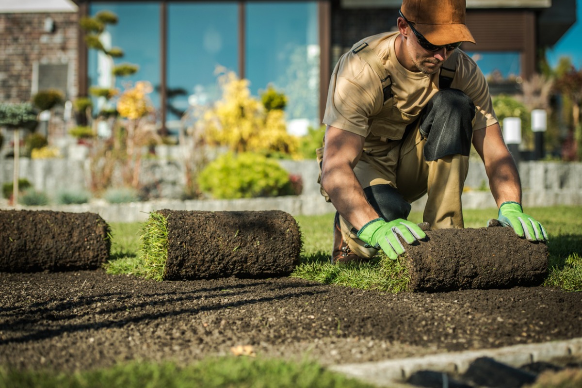 natural grass installation