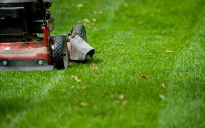 What Equipment Do You Need to Start a Lawn Care Business?