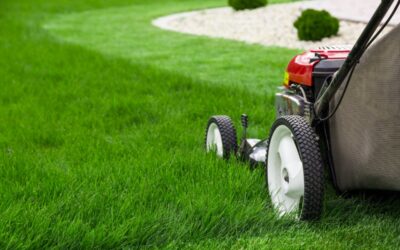 How to Advertise Your Lawn Care Business: Examples & Ideas