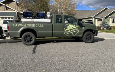 300 to 3,000 Customers in Three Years: How Yard Guard Grew 10X With RealGreen
