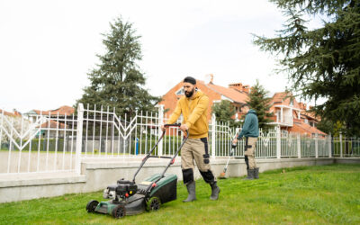 Lawn Care Services List: 10+ Services You Should Offer as Lawn Care Provider