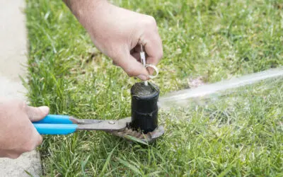 26 Essential Irrigation Tools for Your Lawn Care and Landscaping Business