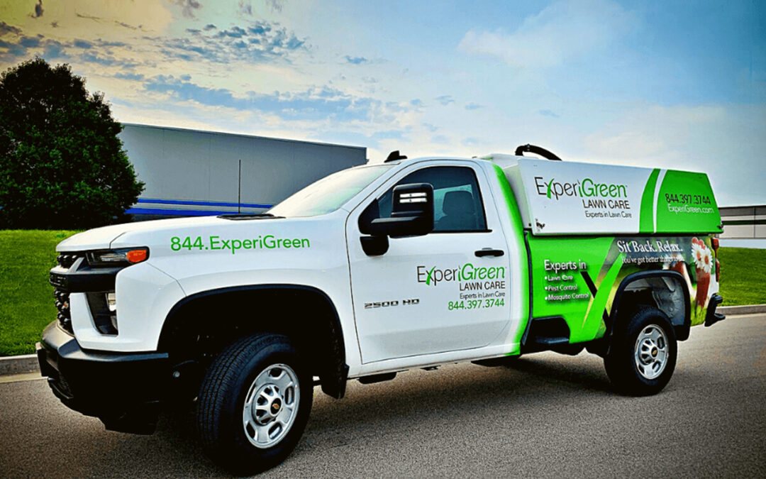 Why Experigreen Is Excited about Marketing Analytics
