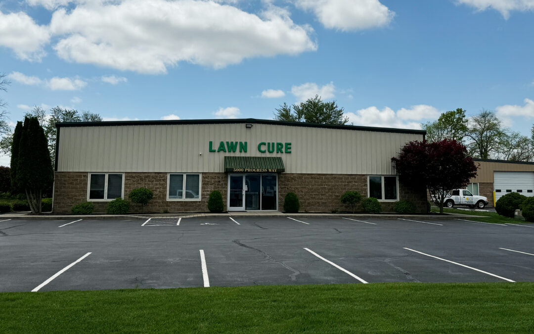 Customer Q&A: How a Four-Day Work Week Strengthened the Team at Lawn Cure