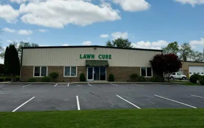 Customer Q&A: How a Four-Day Work Week Strengthened the Team at Lawn Cure