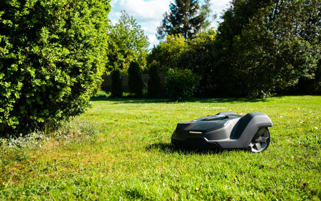 Rise of the Robo-Mower: How AI, Immigration, and HOAs Are Reshaping the American Lawn