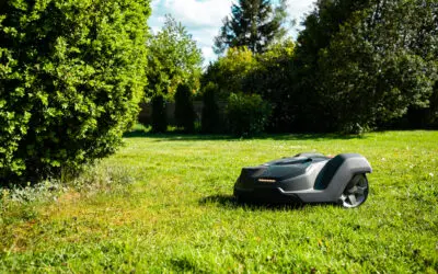 Rise of the Robo-Mower: How AI, Immigration, and HOAs Are Reshaping the American Lawn