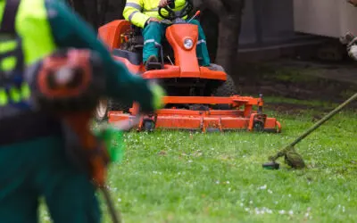 Economy-Proofing Your Lawn Care Business: From Staying Afloat to Getting Ahead
