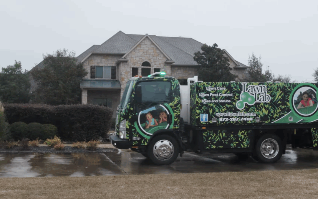 From Soup to Nuts: The Lawn Lab Success Formula
