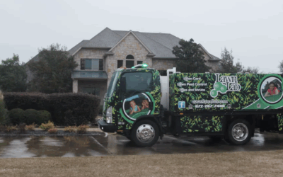 From Soup to Nuts: The LawnLab Success Formula